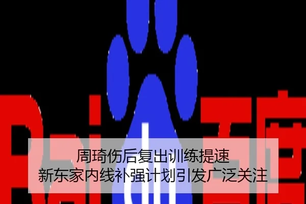 周琦伤后复出训练提速 新东家内线补强计划引发广泛关注