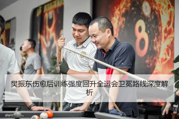樊振东伤愈后训练强度回升全运会卫冕路线深度解析