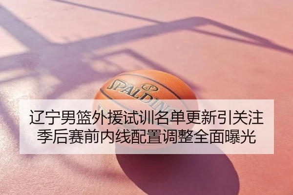 辽宁男篮外援试训名单更新引关注 季后赛前内线配置调整全面曝光