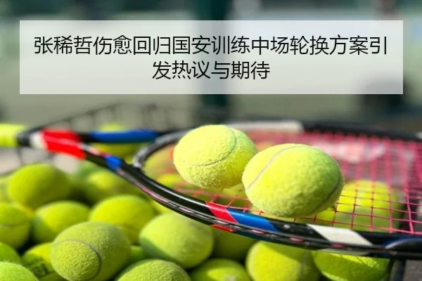 张稀哲伤愈回归国安训练中场轮换方案引发热议与期待